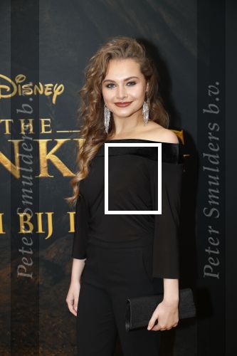 Amsterdam 15 juli 2019
Premiere the lion king in tuschinski.
Vajen v d Bosch