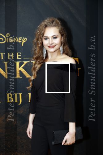 Amsterdam 15 juli 2019
Premiere the lion king in tuschinski.
Vajen v d Bosch
