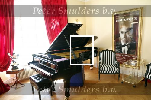 Diepenheim 24 augustus 2019
Wibi Soerjadi geeft tuinconcert in de tuin van zijn huis.