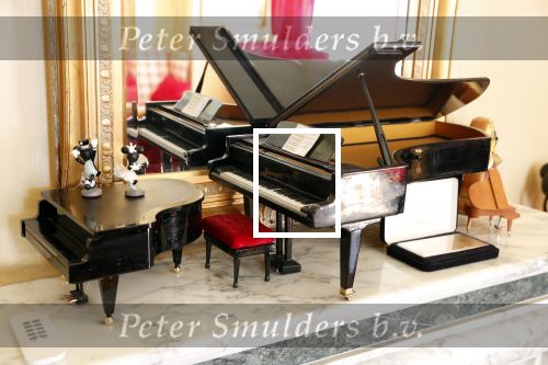 Diepenheim 24 augustus 2019
Wibi Soerjadi geeft tuinconcert in de tuin van zijn huis.