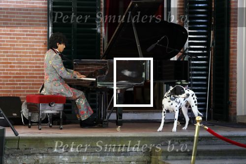 Diepenheim 24 augustus 2019
Wibi Soerjadi geeft tuinconcert in de tuin van zijn huis.