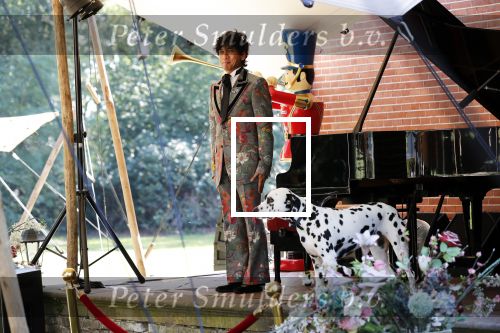Diepenheim 24 augustus 2019
Wibi Soerjadi geeft tuinconcert in de tuin van zijn huis.