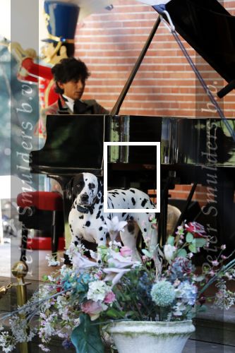 Diepenheim 24 augustus 2019
Wibi Soerjadi geeft tuinconcert in de tuin van zijn huis. Hond Wibi