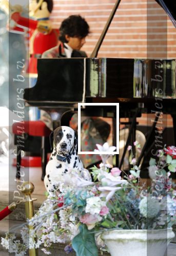Diepenheim 24 augustus 2019
Wibi Soerjadi geeft tuinconcert in de tuin van zijn huis. Hond Wibi