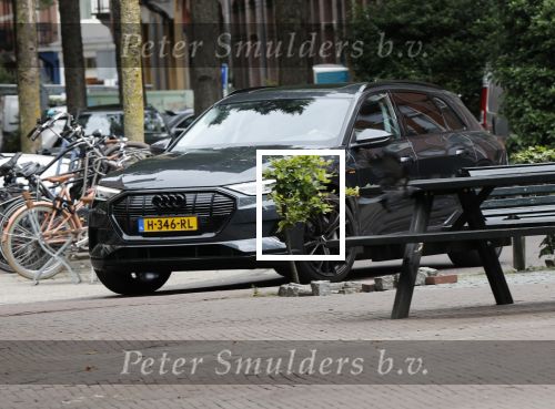 Amsterdam 20 augustus 2020
Bastiaan v Schaik met zijn nieuwe vriend op de pc hooftstraat