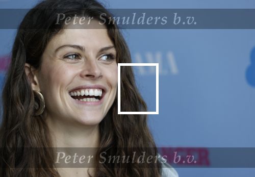 Amsterdam 26 augustus 2020
Castpresentatie Zwanger&Co in de Loft in de Adam toren.
 Carolina Dijkhuizen, Matteo van der Grijn, Lieke van Lexmond Rolf Sanchez Thom Hoffman, Maaike Martens, Waldemar Torenstra en Bo Maerten.