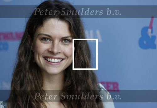 Amsterdam 26 augustus 2020
Castpresentatie Zwanger&Co in de Loft in de Adam toren.
 Carolina Dijkhuizen, Matteo van der Grijn, Lieke van Lexmond Rolf Sanchez Thom Hoffman, Maaike Martens, Waldemar Torenstra en Bo Maerten.