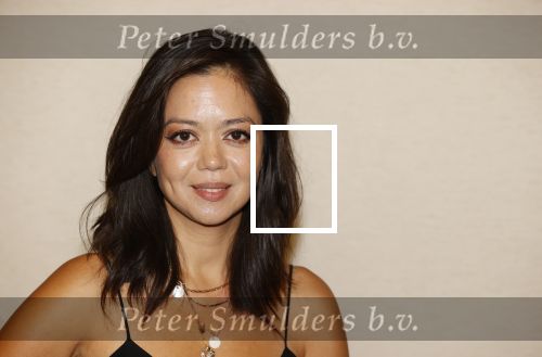 Amsterdam 20 augustus 2020
Presenatie cast Murder Ballad met o.a. Cystine Carreon