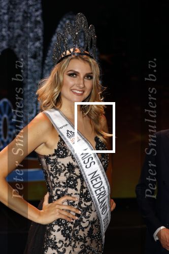 Hilversum 31 augustus 2020
Miss Nederland verkiezing in studio 21 op het mediapark. Miss Nederland Denise Speelman