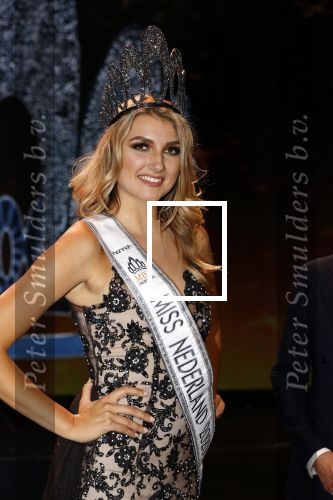 Hilversum 31 augustus 2020
Miss Nederland verkiezing in studio 21 op het mediapark. Miss Nederland Denise Speelman