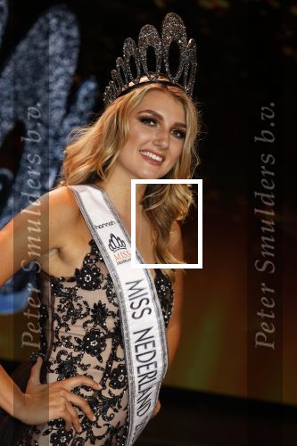 Hilversum 31 augustus 2020
Miss Nederland verkiezing in studio 21 op het mediapark. Miss Nederland Denise Speelman