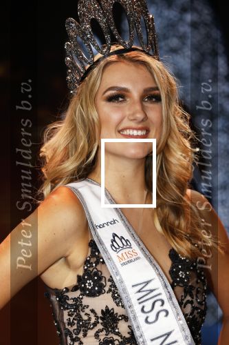 Hilversum 31 augustus 2020
Miss Nederland verkiezing in studio 21 op het mediapark. Miss Nederland Denise Speelman