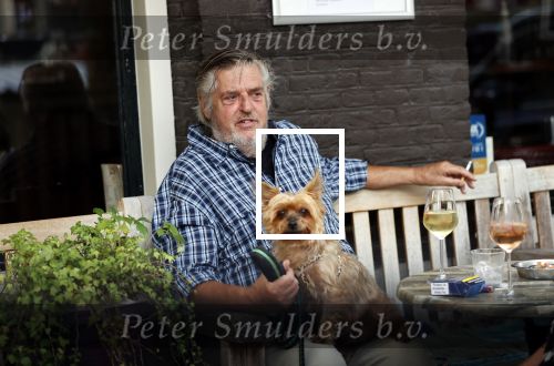 Amsterdam 23 augustus 2020
Hans v d Togt met een hondje op terras