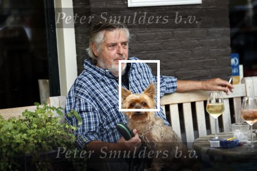Amsterdam 23 augustus 2020
Hans v d Togt met een hondje op terras