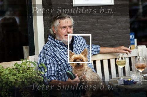 Amsterdam 23 augustus 2020
Hans v d Togt met een hondje op terras