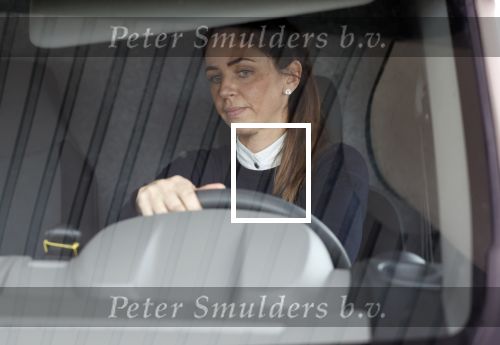 Voorst en omgeving 4 september 2020
Judith Pietersen ( vriendinDan Brown) vertrok vanaf haar huis met de paardewagen .