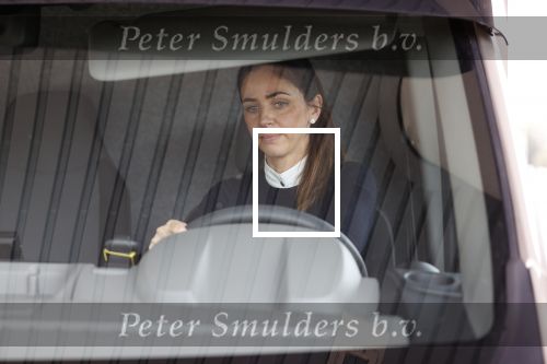 Voorst en omgeving 4 september 2020
Judith Pietersen ( vriendinDan Brown) vertrok vanaf haar huis met de paardewagen .