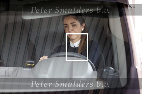 Voorst en omgeving 4 september 2020
Judith Pietersen ( vriendinDan Brown) vertrok vanaf haar huis met de paardewagen .