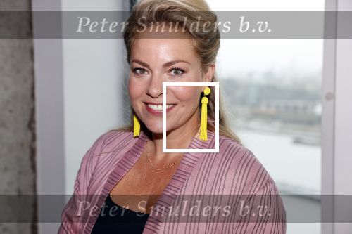 Amsterdam 26 augustus 2020
Castpresentatie Zwanger&Co in de Loft in de Adam toren.
 Carolina Dijkhuizen, Matteo van der Grijn, Lieke van Lexmond Rolf Sanchez Thom Hoffman, Maaike Martens, Waldemar Torenstra en Bo Maerten.
