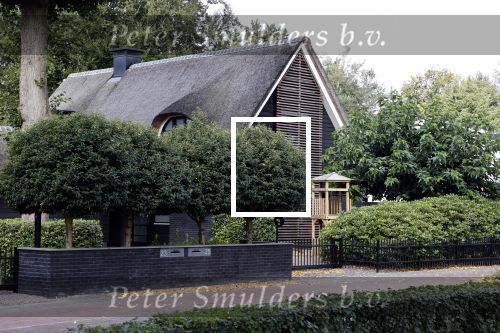 Blaricum 13 september 2020
Het huis van Marco en leontine Borsato is verkocht