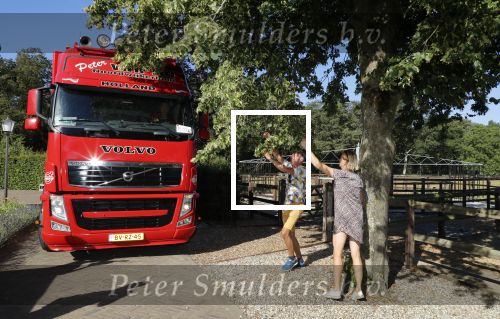 Hengelo, 31 Juli 2020
Martien Meiland verhuist van zijn chateau naar een driedubbele boederij in het Gelderse Hengelo
