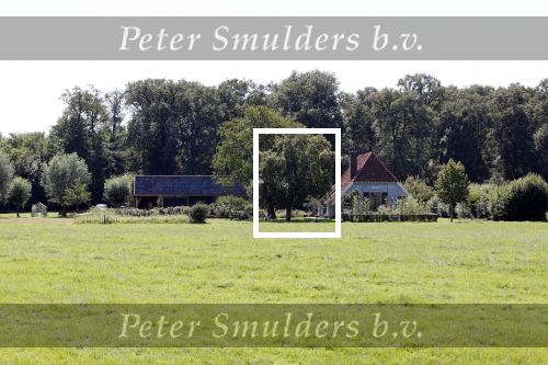Eefde 2 september 2020
Huis van Matthijs v Nieuwkerk