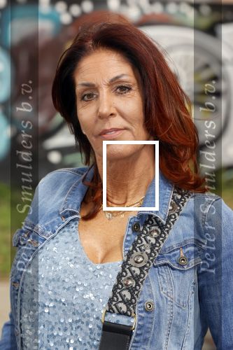 Rotterdam 31 augustus 2020
Presentatie boek Nino Wilkes over zijn opa Faas Wilkes. Rachel Hazes