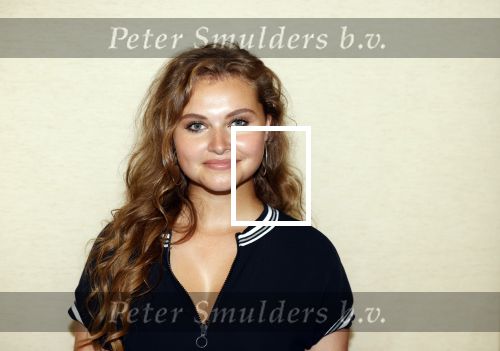 Amsterdam 20 augustus 2020
Presenatie cast Murder Ballad met o.a. Vajen v d Bosch