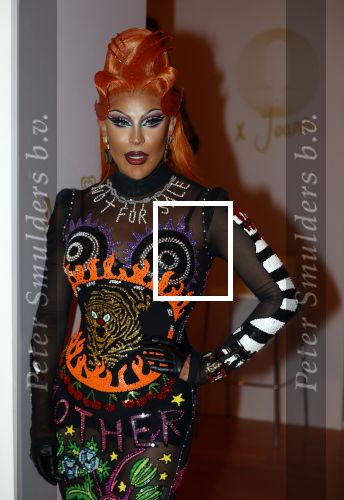 Amsterdam 25 augustus 2021
Expositie met Prinses Eloise in de Beurs v Berlage. Het is een event van Magnum ijs. Envy Peru