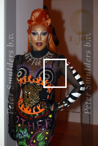 Amsterdam 25 augustus 2021
Expositie met Prinses Eloise in de Beurs v Berlage. Het is een event van Magnum ijs. Envy Peru
