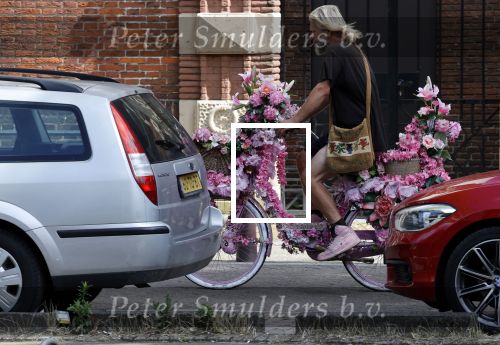 Amsterdam 14 augustus 2021
Man met roze fiets vol met bloemen