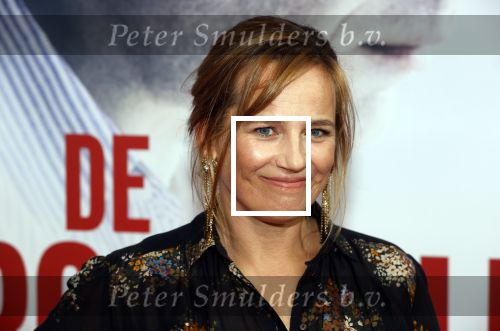 Amsterdam 30 augustus 2021
Premiere de veroordeling in Tuschinski. Lies Visschedijk