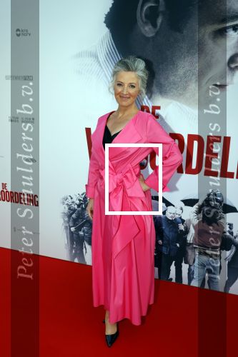 Amsterdam 30 augustus 2021
Premiere de veroordeling in Tuschinski.
Ferry en Marike Mingelen