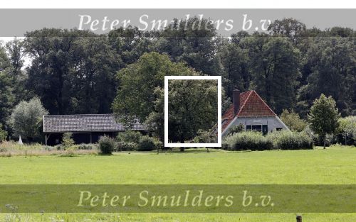Eefde 12 augustus 2021
Matthijs v Nieuwkerk en zijn vriendin Martha Riemsma vieren vakantie bij het vakantiehuis van Matthijs