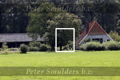 Eefde 12 augustus 2021
Matthijs v Nieuwkerk en zijn vriendin Martha Riemsma vieren vakantie bij het vakantiehuis van Matthijs