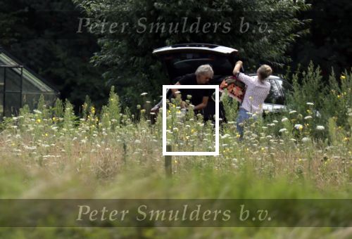 Eefde 12 augustus 2021
Matthijs v Nieuwkerk en zijn vriendin Martha Riemsma vieren vakantie bij het vakantiehuis van Matthijs