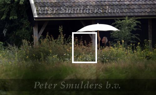 Eefde 12 augustus 2021
Matthijs v Nieuwkerk en zijn vriendin Martha Riemsma vieren vakantie bij het vakantiehuis van Matthijs