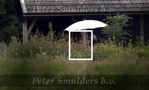 Eefde 12 augustus 2021
Matthijs v Nieuwkerk en zijn vriendin Martha Riemsma vieren vakantie bij het vakantiehuis van Matthijs