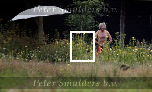 Eefde 12 augustus 2021
Matthijs v Nieuwkerk en zijn vriendin Martha Riemsma vieren vakantie bij het vakantiehuis van Matthijs