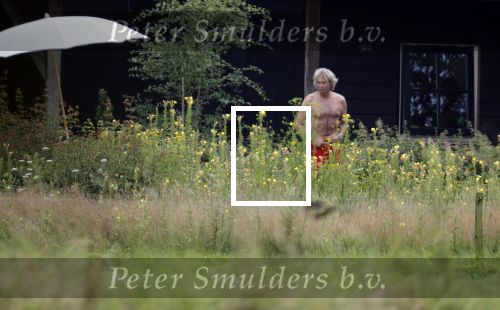 Eefde 12 augustus 2021
Matthijs v Nieuwkerk en zijn vriendin Martha Riemsma vieren vakantie bij het vakantiehuis van Matthijs
