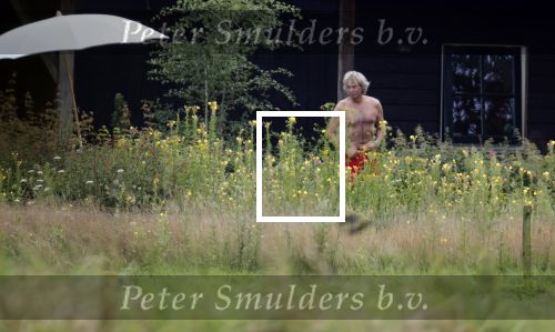 Eefde 12 augustus 2021
Matthijs v Nieuwkerk en zijn vriendin Martha Riemsma vieren vakantie bij het vakantiehuis van Matthijs