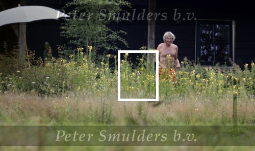 Eefde 12 augustus 2021
Matthijs v Nieuwkerk en zijn vriendin Martha Riemsma vieren vakantie bij het vakantiehuis van Matthijs