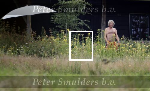 Eefde 12 augustus 2021
Matthijs v Nieuwkerk en zijn vriendin Martha Riemsma vieren vakantie bij het vakantiehuis van Matthijs