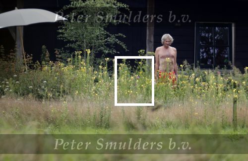 Eefde 12 augustus 2021
Matthijs v Nieuwkerk en zijn vriendin Martha Riemsma vieren vakantie bij het vakantiehuis van Matthijs