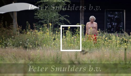 Eefde 12 augustus 2021
Matthijs v Nieuwkerk en zijn vriendin Martha Riemsma vieren vakantie bij het vakantiehuis van Matthijs