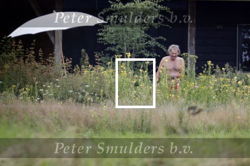 Eefde 12 augustus 2021
Matthijs v Nieuwkerk en zijn vriendin Martha Riemsma vieren vakantie bij het vakantiehuis van Matthijs