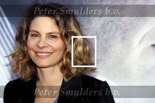 Amsterdam 30 augustus 2021
Premiere de veroordeling in Tuschinski. Rifka Lodeizen