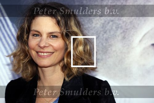 Amsterdam 30 augustus 2021
Premiere de veroordeling in Tuschinski. Rifka Lodeizen