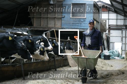 Hieslum 27 augustus 2021
Rogier Smit op een boerderij in Friesland . Ook zijn hond Brownie is natuurlijk mee.