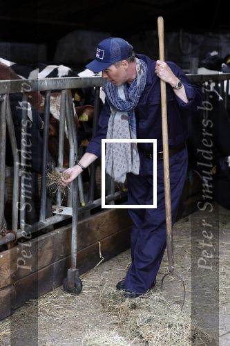 Hieslum 27 augustus 2021
Rogier Smit op een boerderij in Friesland . Ook zijn hond Brownie is natuurlijk mee.